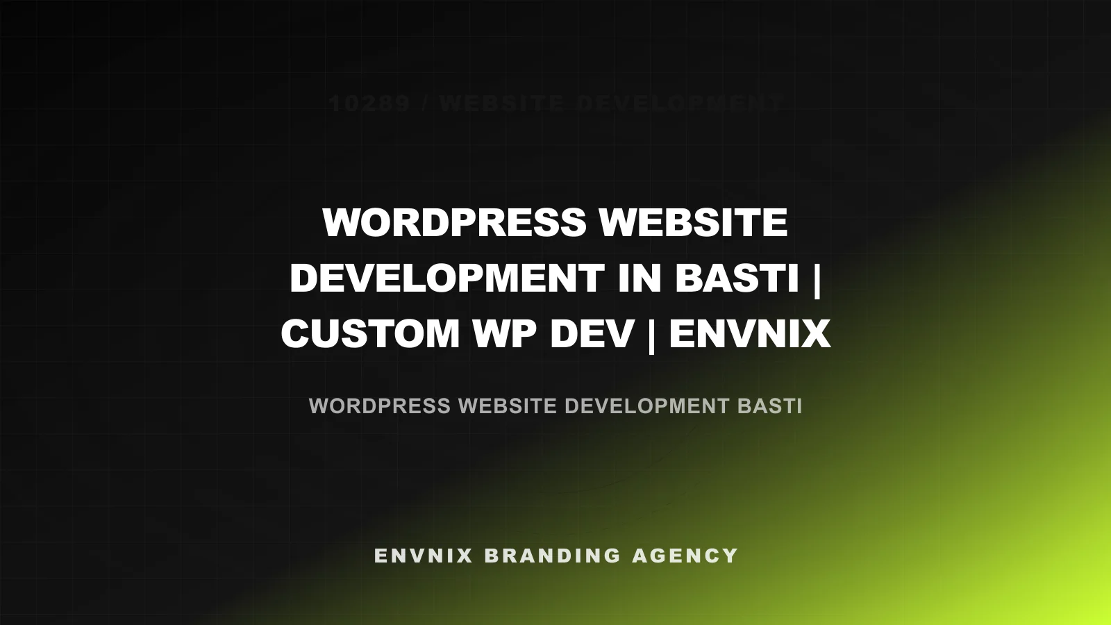 Website Development feature image