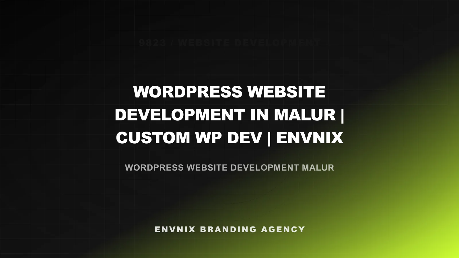 Website Development feature image