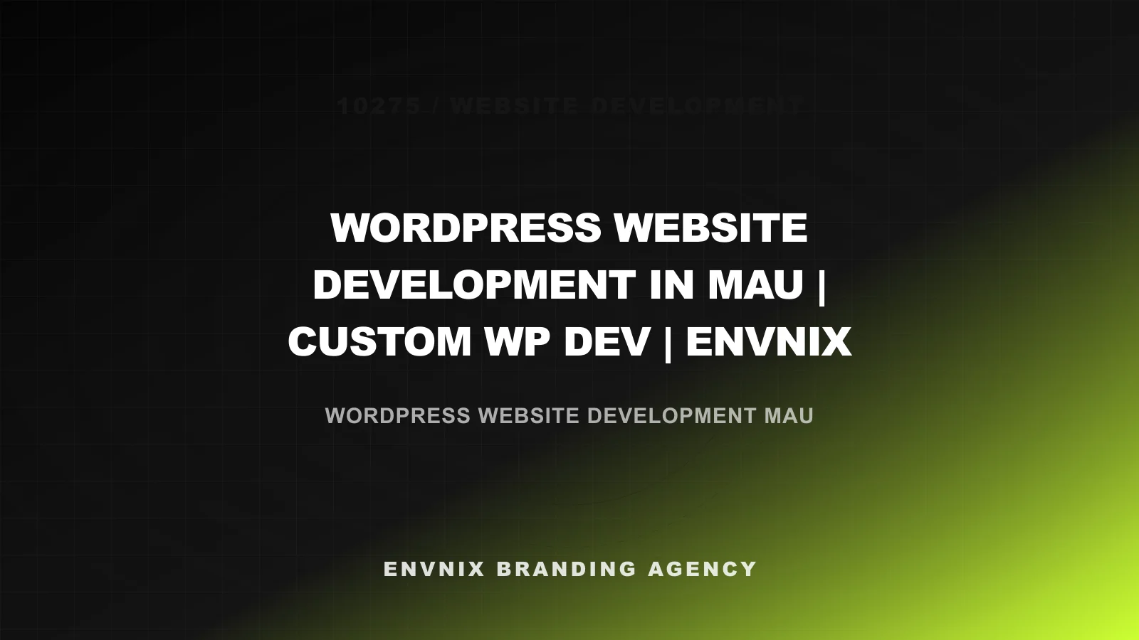 Website Development feature image